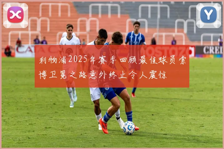 利物浦2025年赛季回顾最佳球员索博卫冕之路意外终止令人震惊