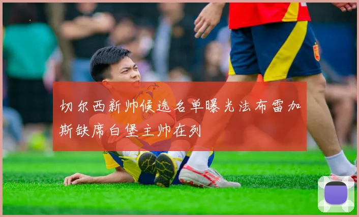 切尔西新帅候选名单曝光法布雷加斯缺席白堡主帅在列