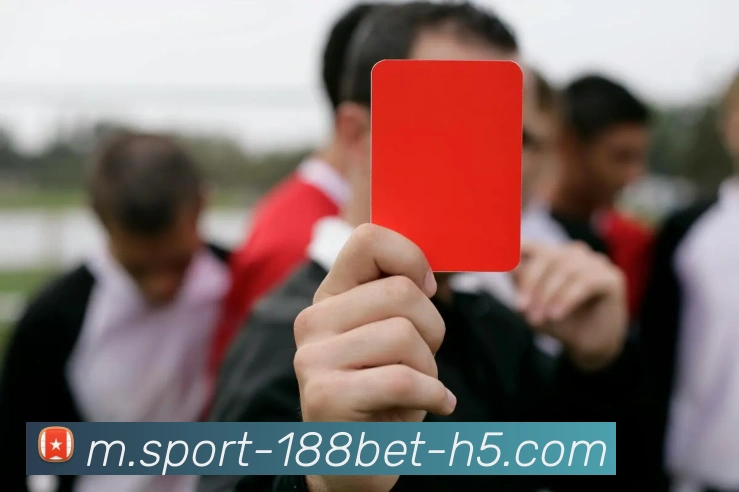 188bet体育服务体系